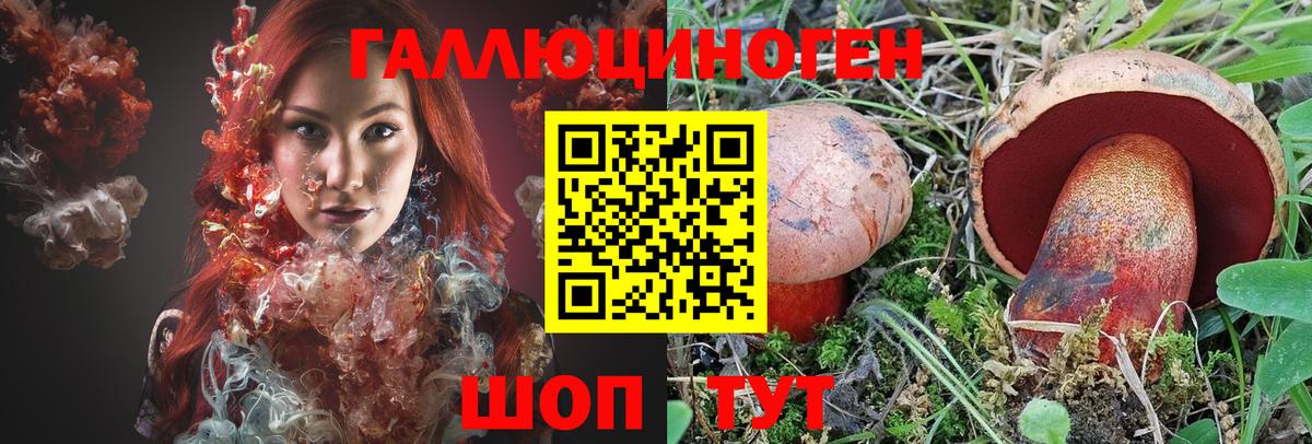 Галлюциногенные грибы Psilocybine cubensis  Вход с VPN  Дальнегорск  Псилоцибиновые грибы Magic Shrooms 